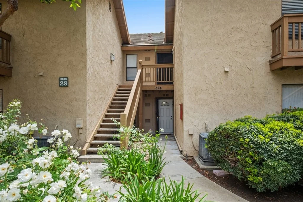 Photo of 324 Tangelo