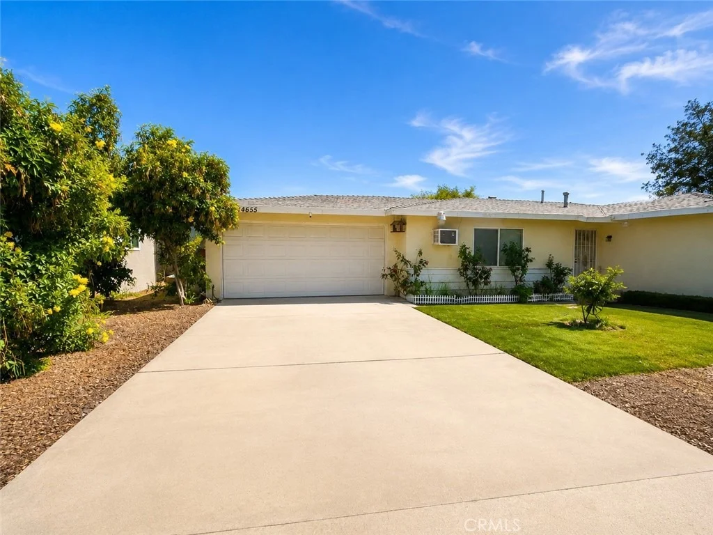 Photo of 24655 Eucalyptus