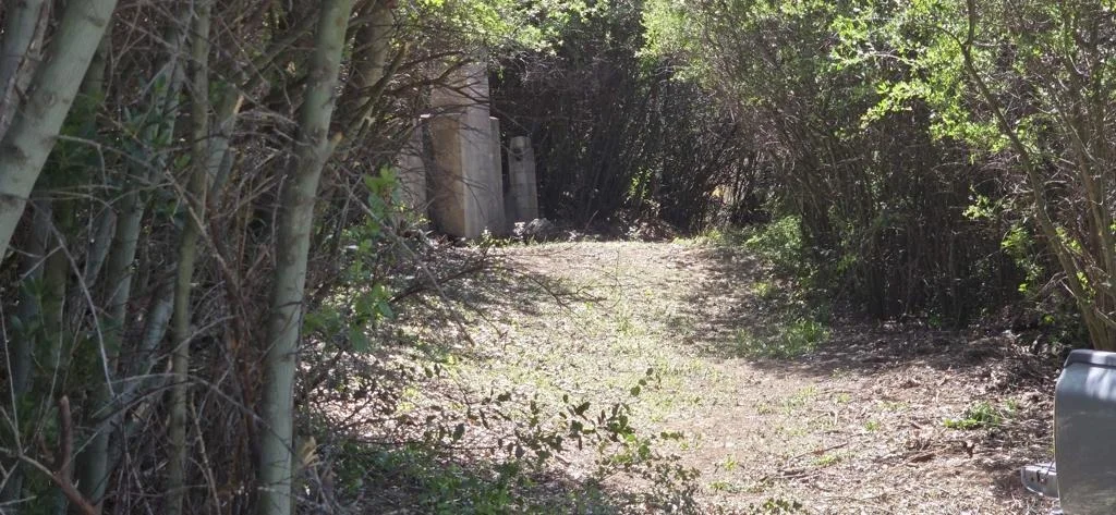 Photo of 38 Creek Rd.