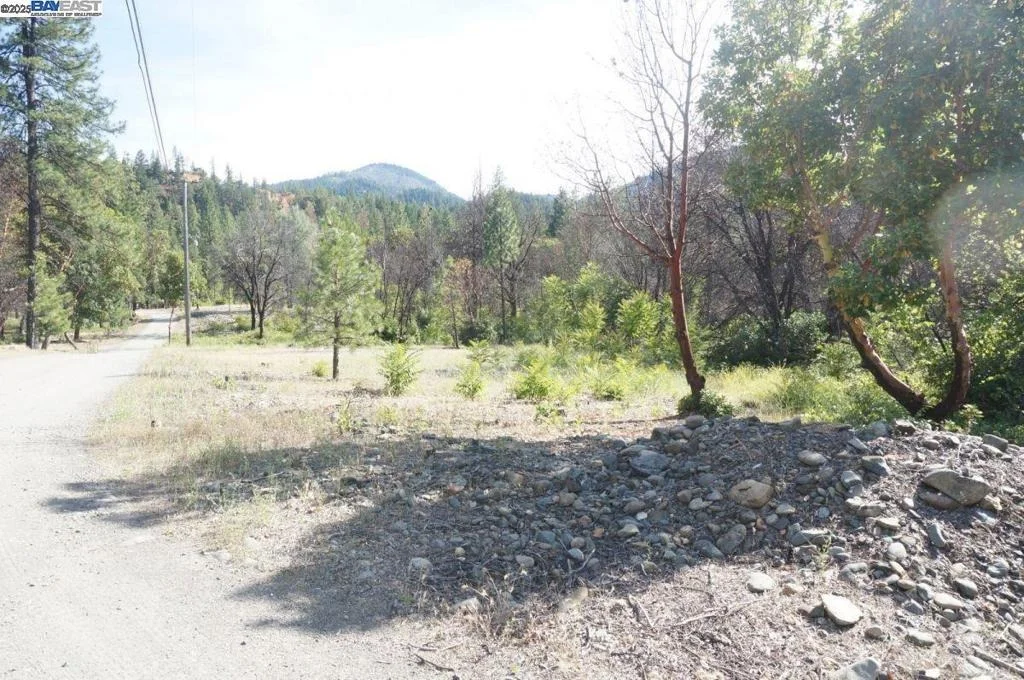 Photo of 101 River Acres