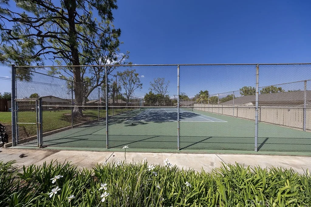 Photo of 2921 Persimmon