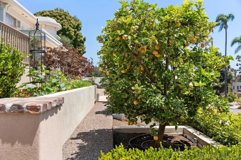 Photo of 3929 Alameda Dr