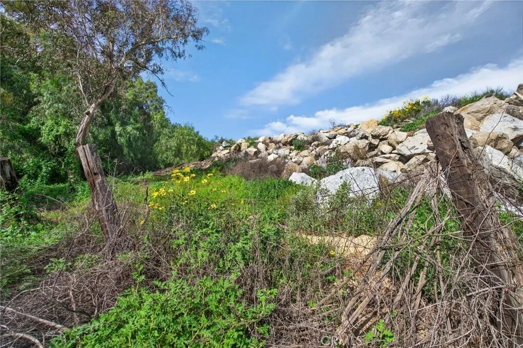 Photo of 14435 Wood Road