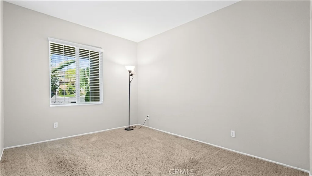 Photo of 29128 Blue Spruce