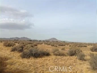 Photo of 0 THUNDERBIRD