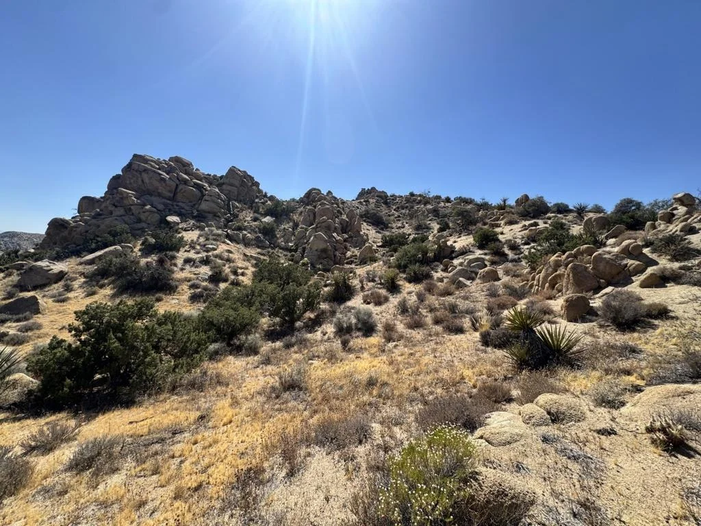 Photo of 5990 Acoma Trail