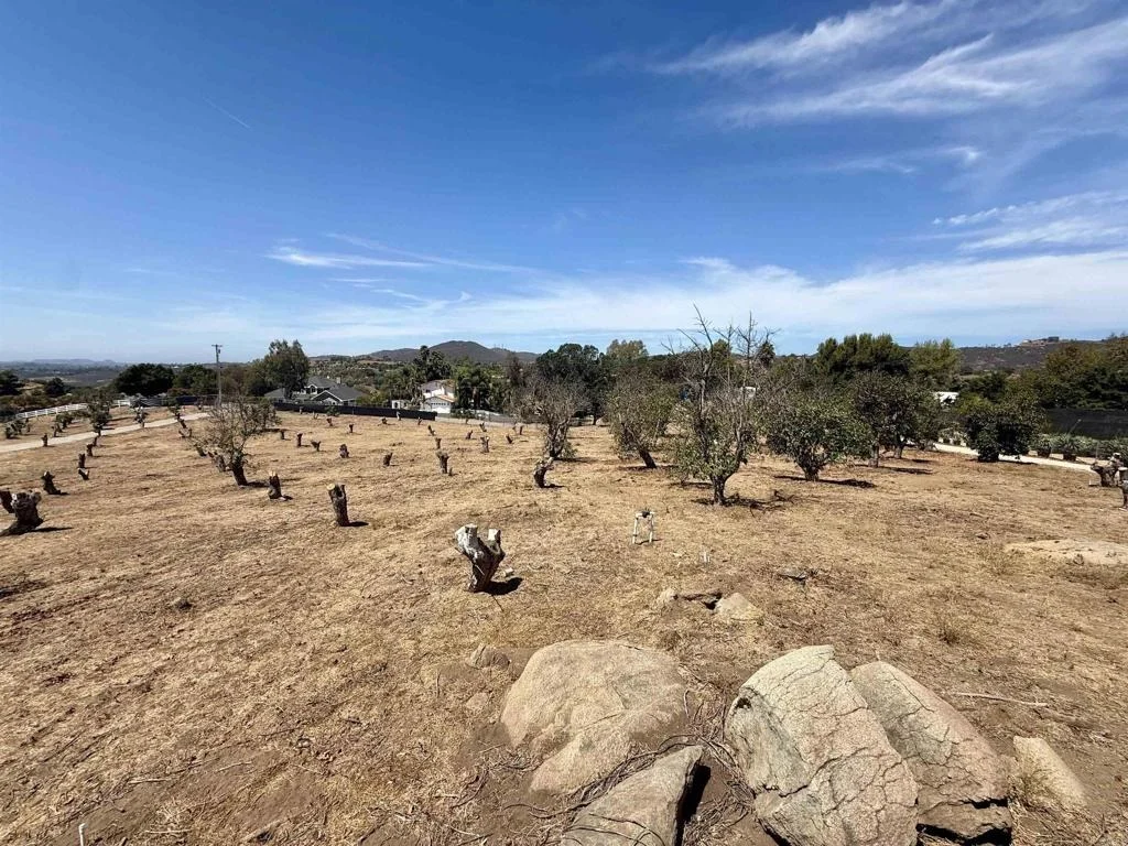 Photo of Canyon Heights Road