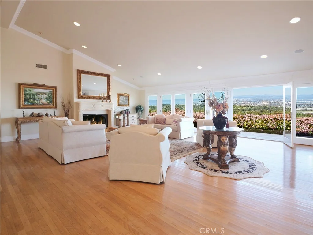 Photo of 49 Saddleback