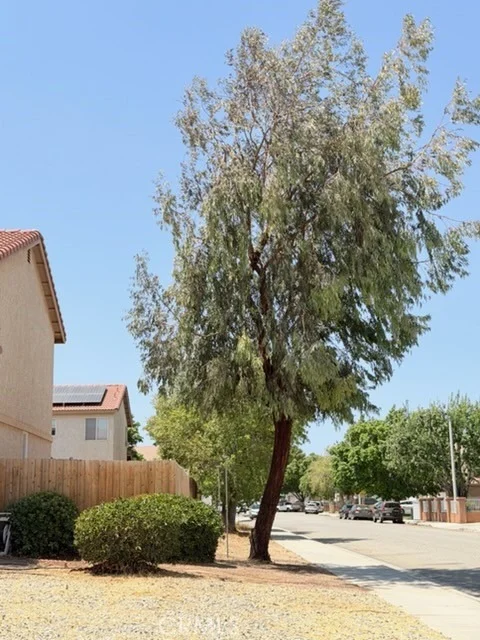Photo of 36547 Caleandra Street