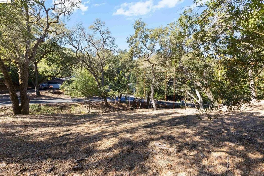 Photo of 822 Acalanes Rd