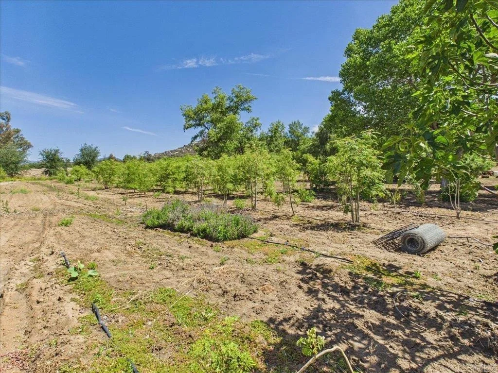 Photo of 385 Feghali Road