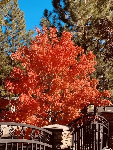 Photo of 5319 Desert View