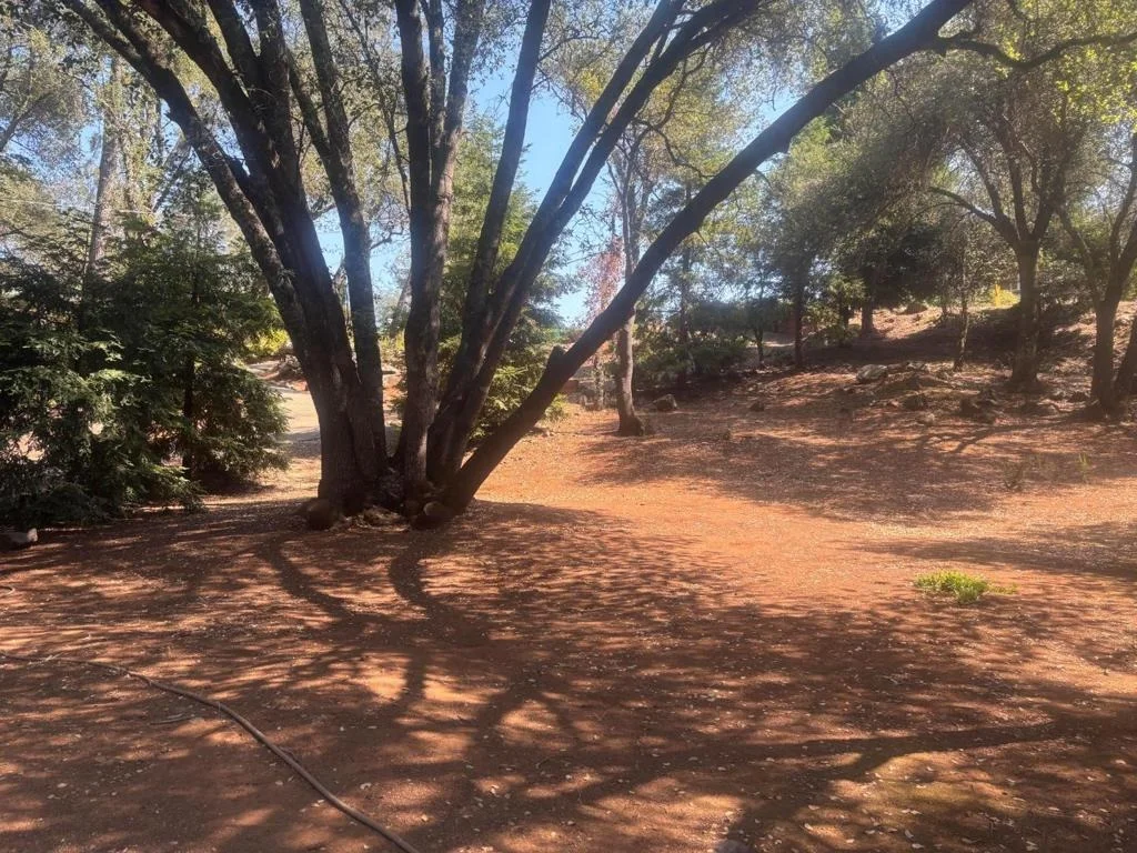 Photo of 3652 Fairway Drive
