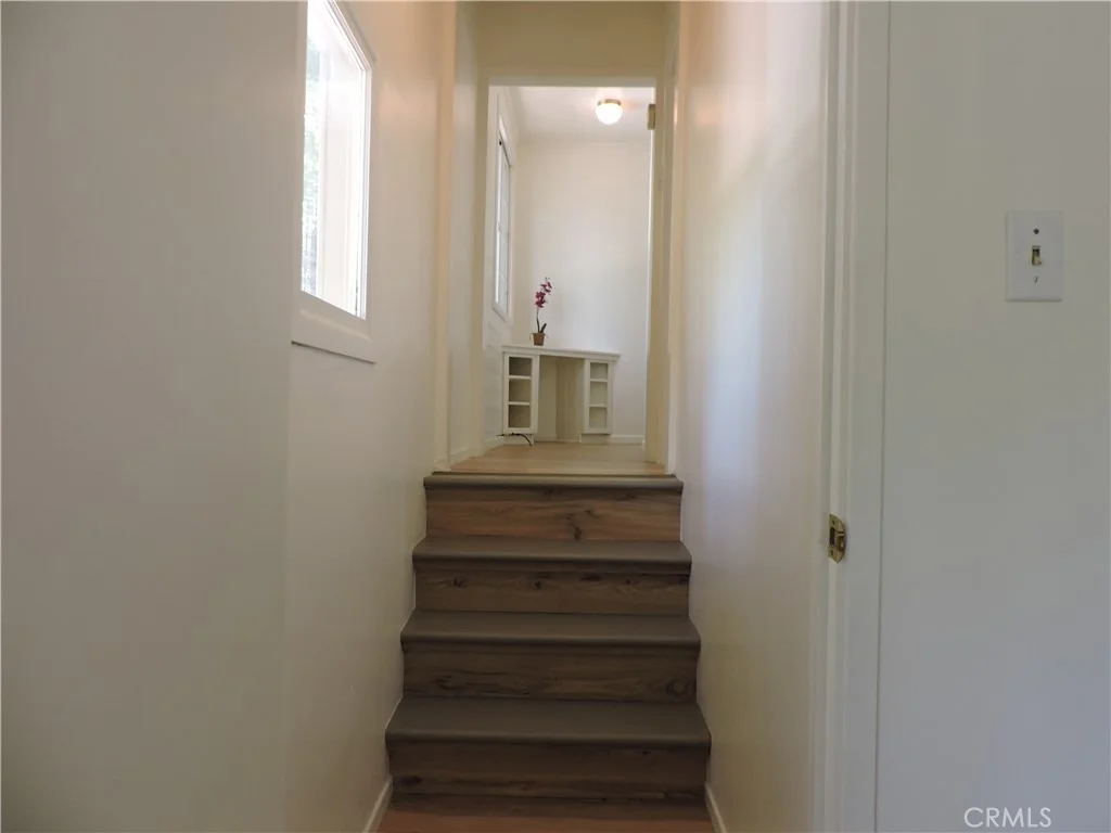 Photo of 657 Knoll