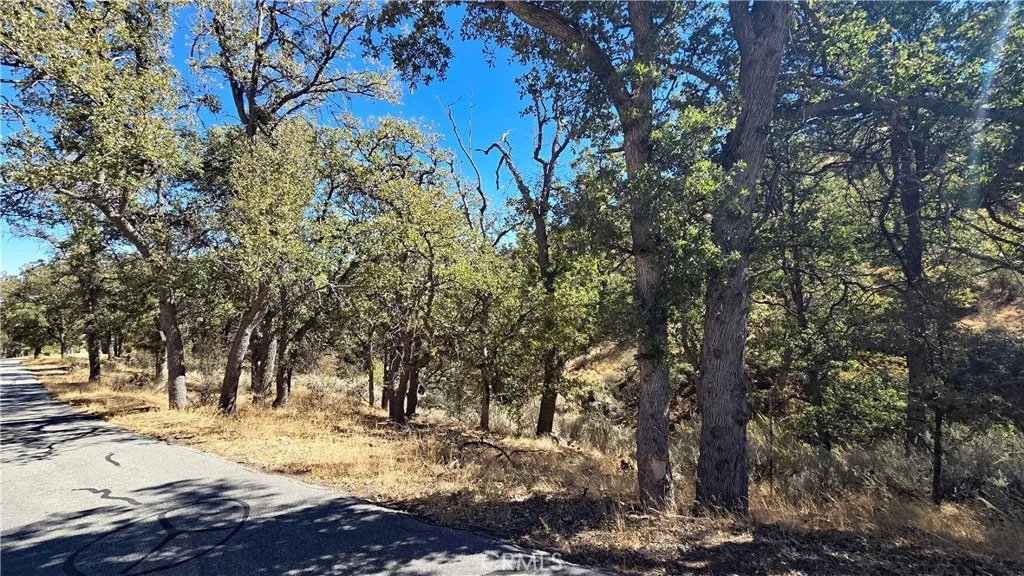 Photo of 0 Saint Moritz Drive