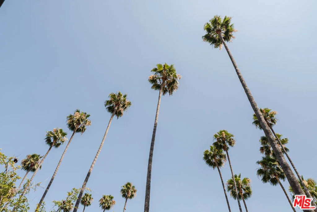 Photo of 793 Figueroa Drive
