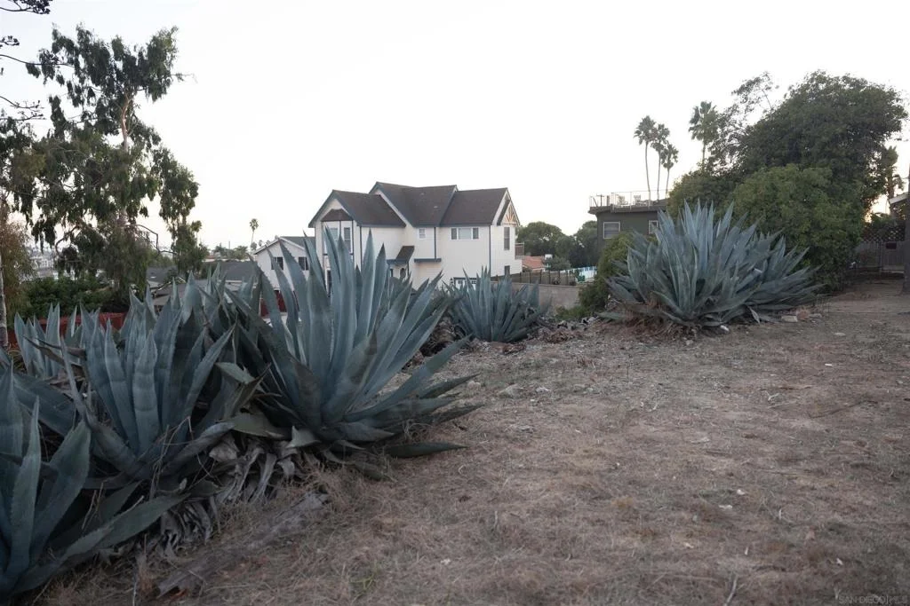 Photo of 1105 Eucalyptus St