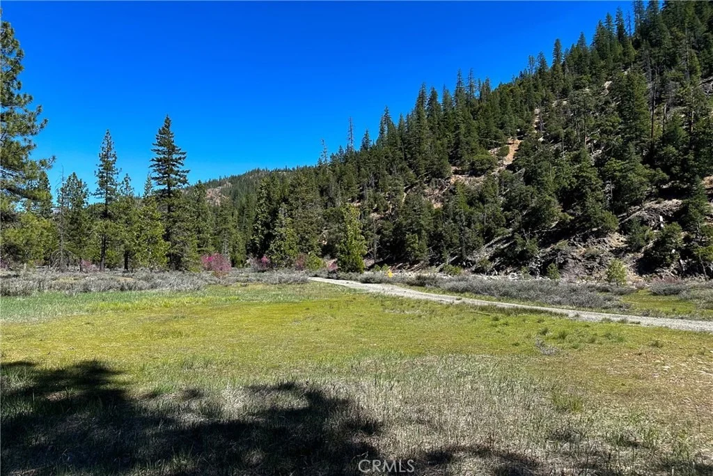 Photo of 79402 State Highway 3