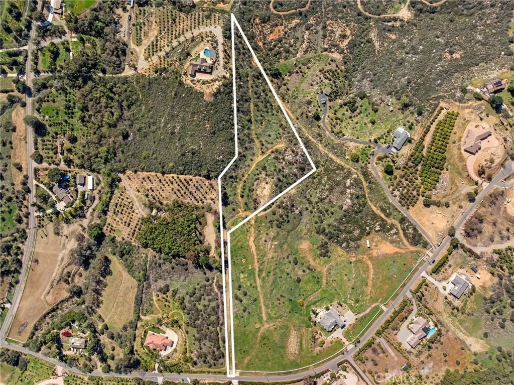 Photo of 2 Las Palmeras