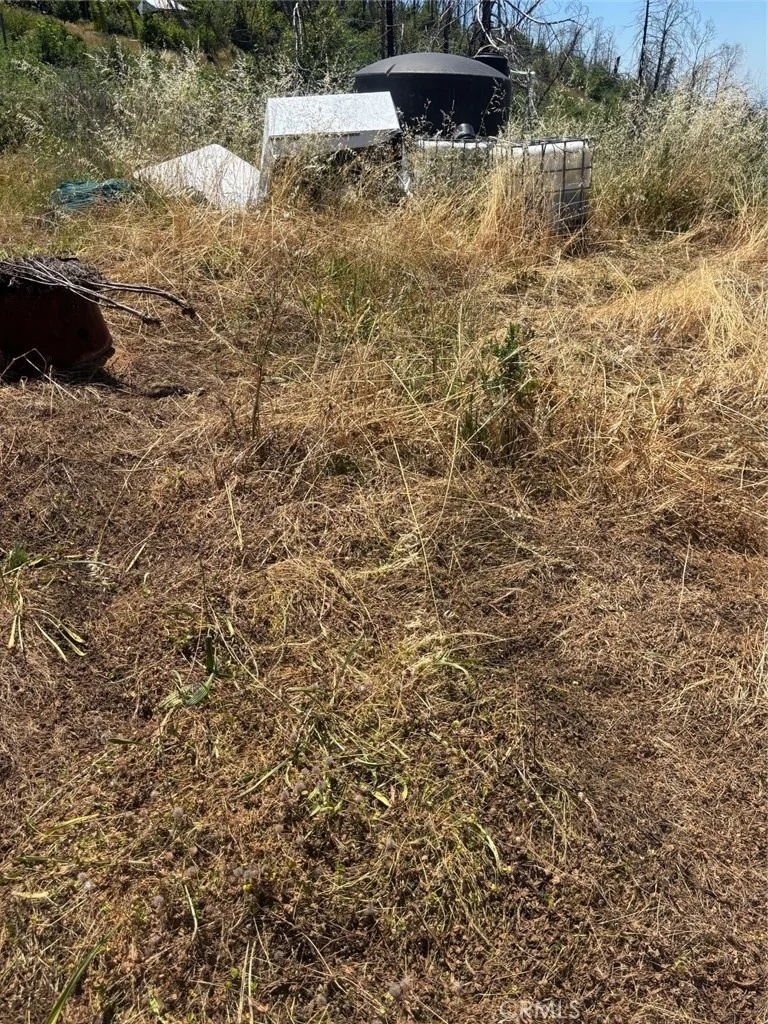 Photo of 31 Rip Van