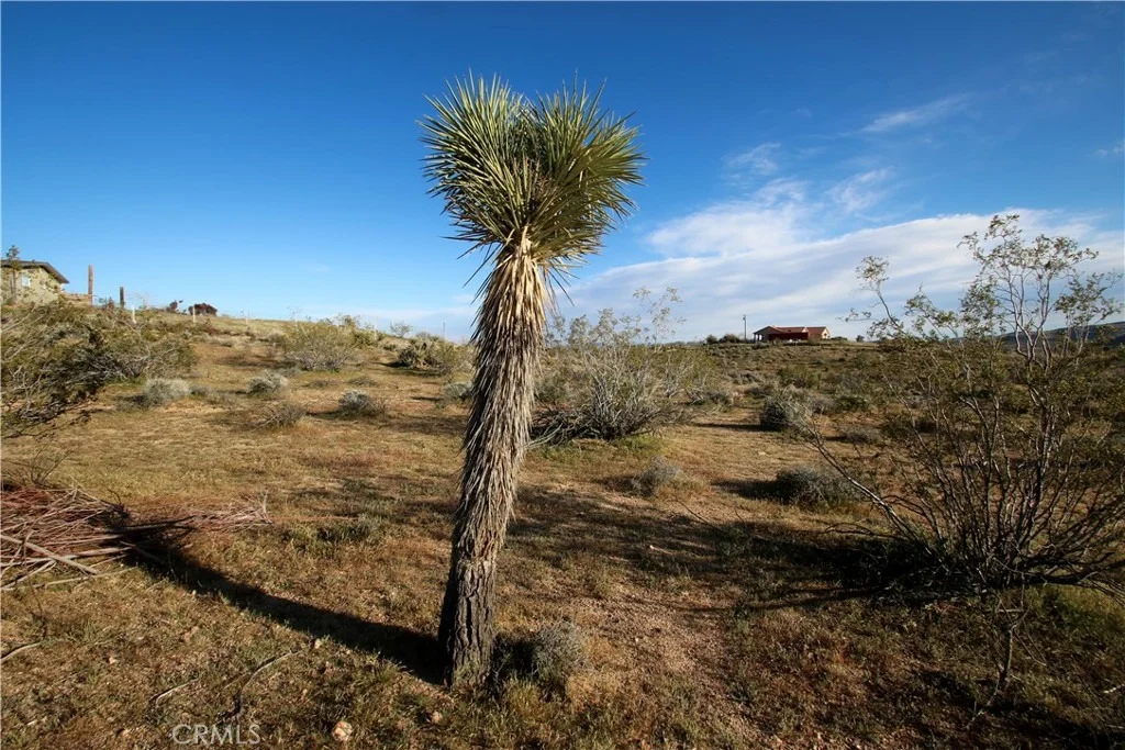 Photo of 111 Perris