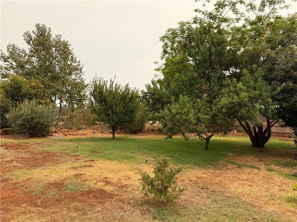 Photo of 51 Roe
