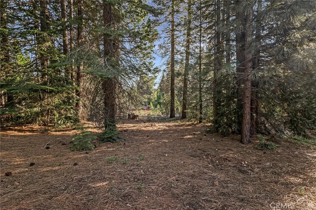 Photo of 278 Red River