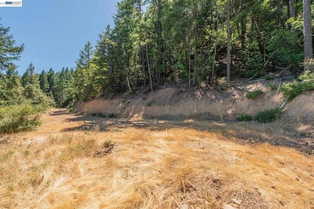 Photo of 190 Moore Gulch