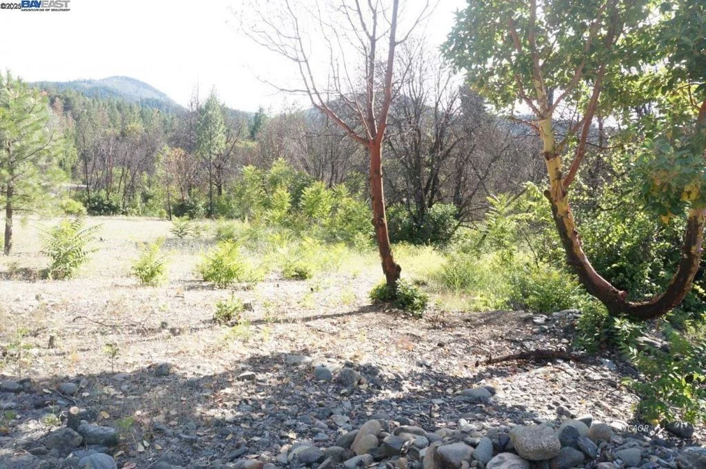 Photo of 101 River Acres