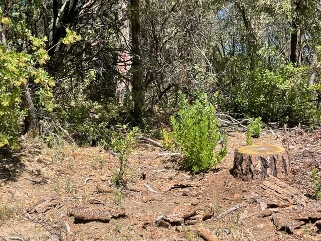 Photo of 10 Broken Springs