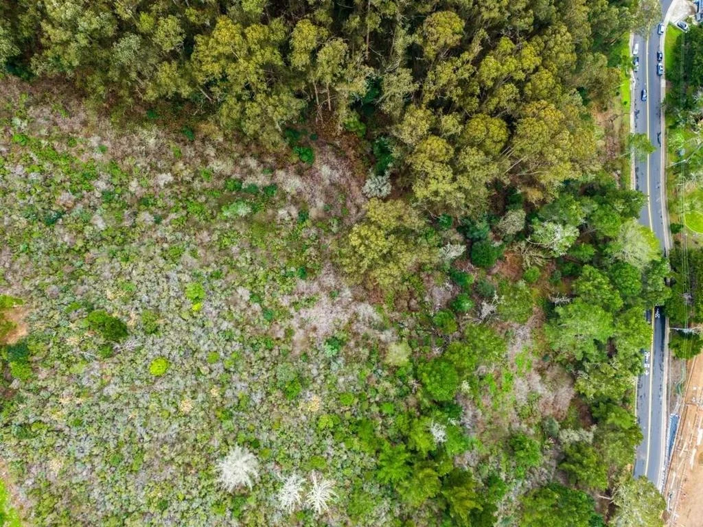 Photo of 0 Everglades Drive