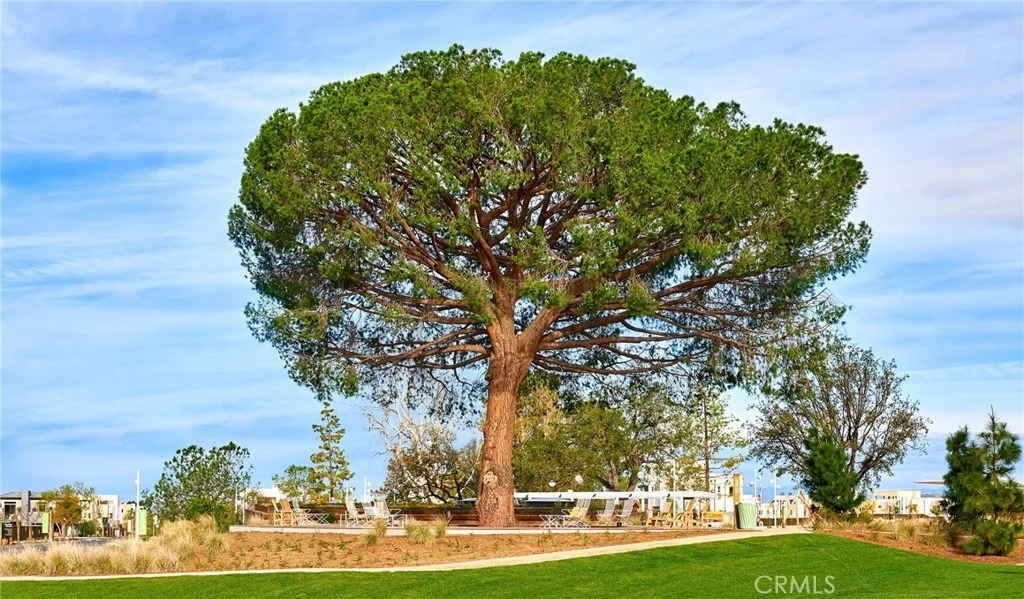 Photo of 174 Scale