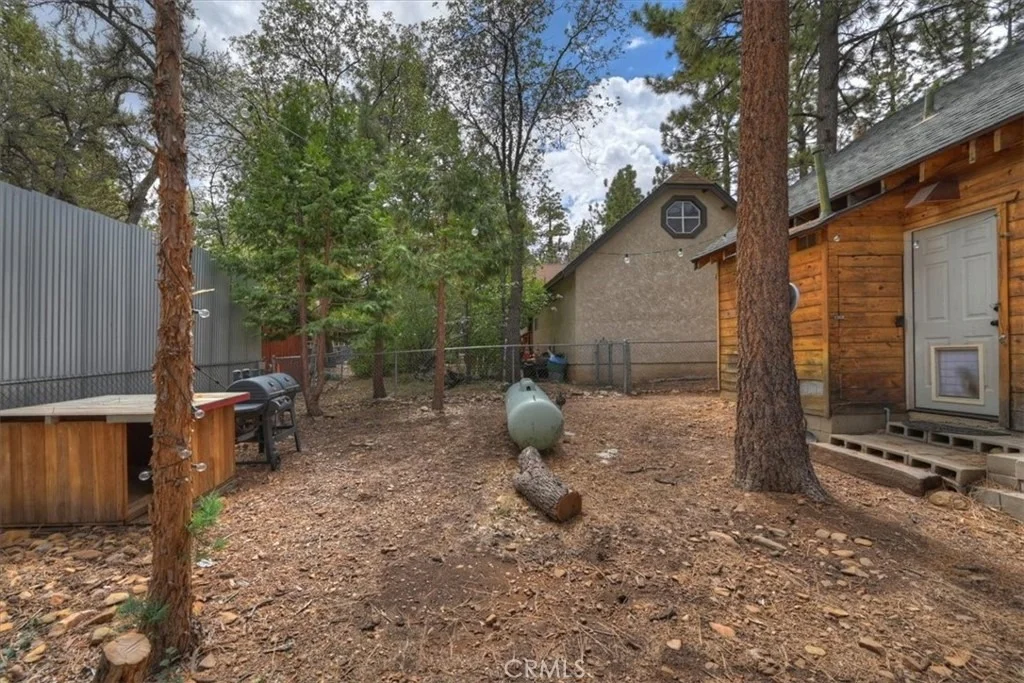 Photo of 313 Leonard