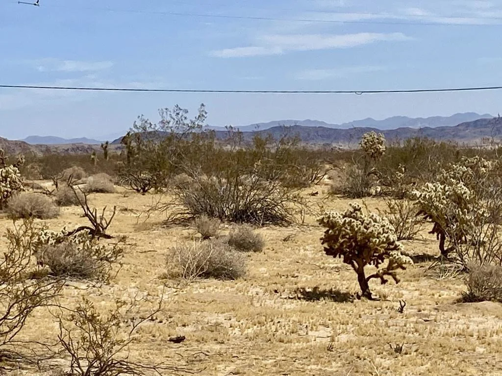 Photo of 62585 Two Mile Road