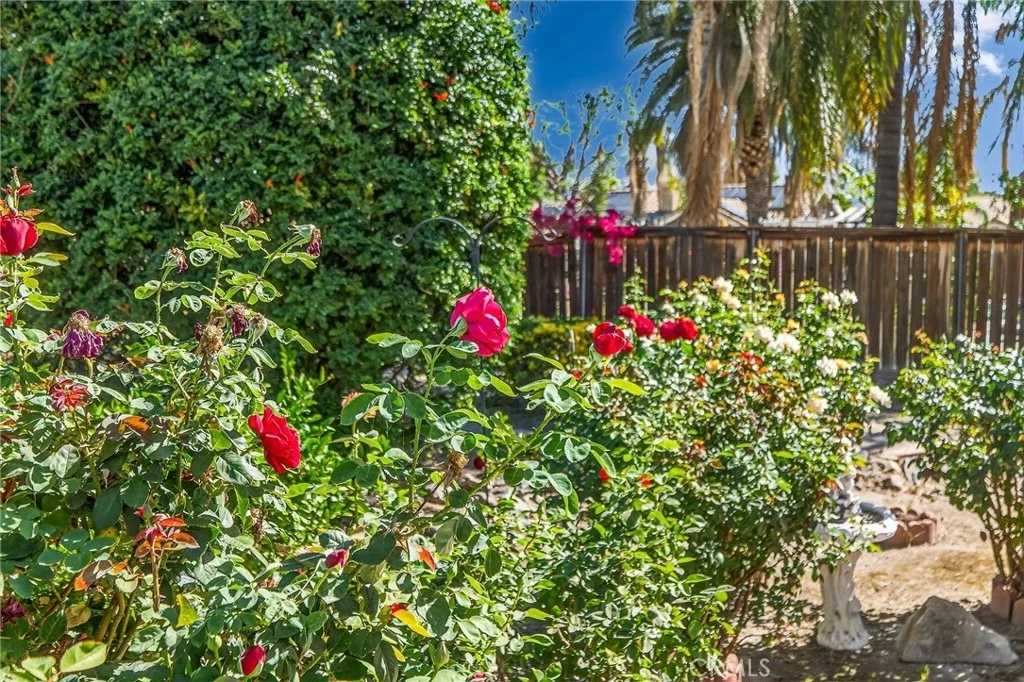 Photo of 1137 Avenida Roundelay