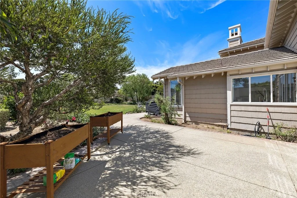 Photo of 1582 White Alder