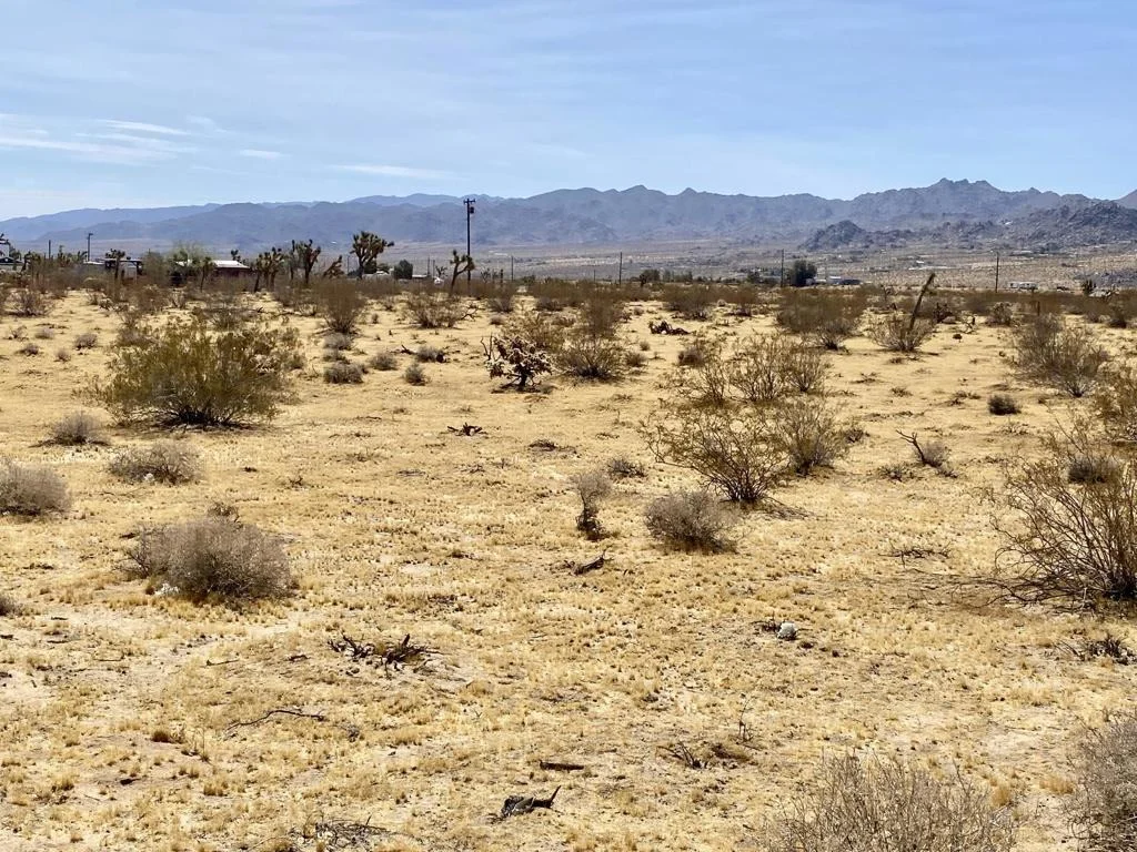 Photo of 62585 Two Mile Road