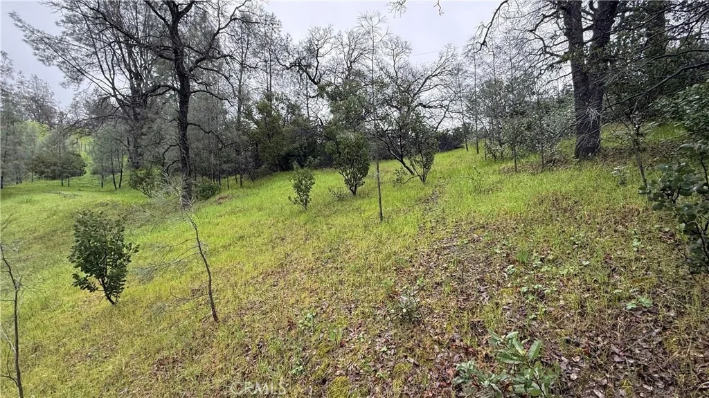 Photo of 16370 Oakridge Road
