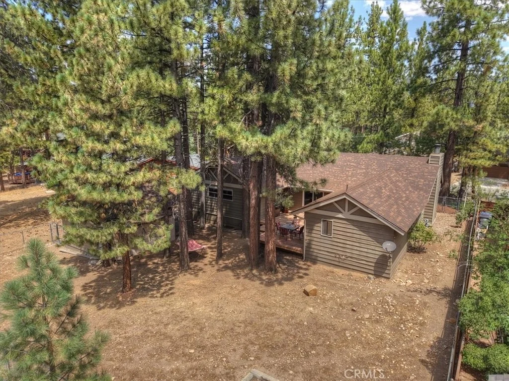 Photo of 41725 Mockingbird