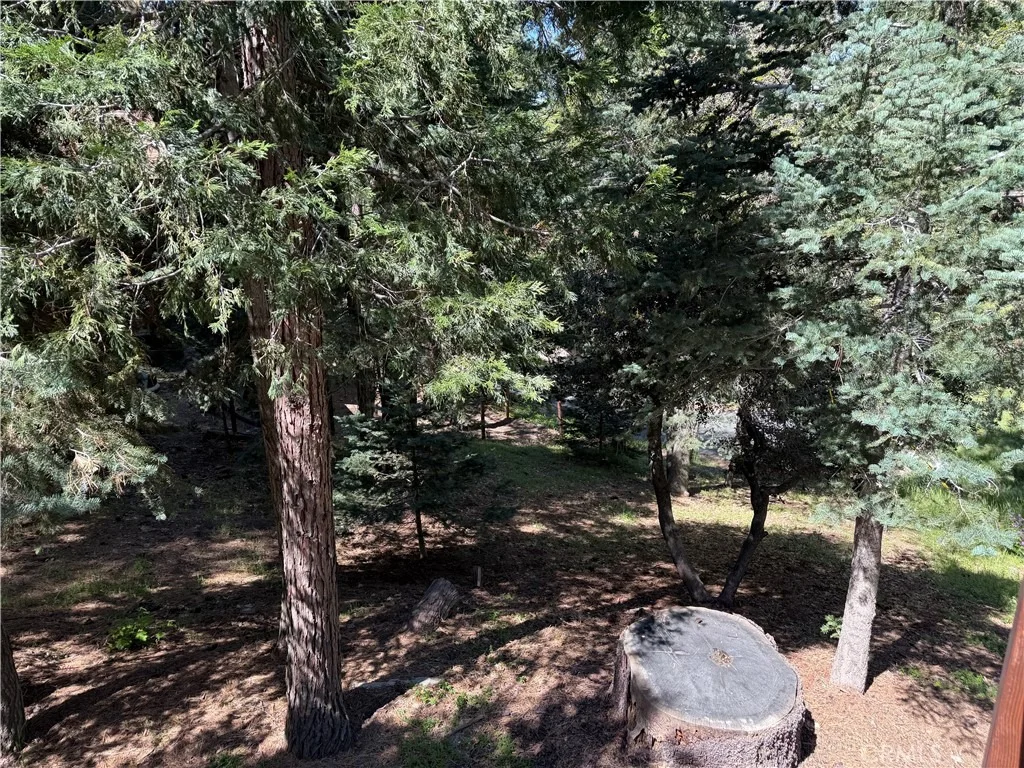 Photo of 1076 Calanda