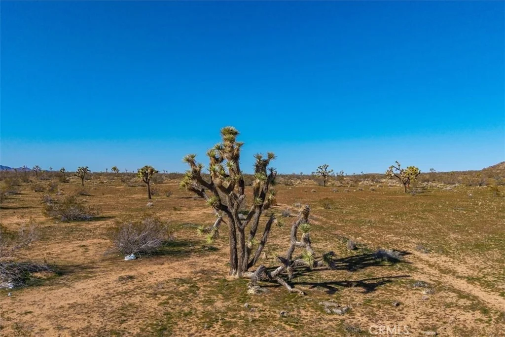 Photo of 58459 Starlight Mesa Road
