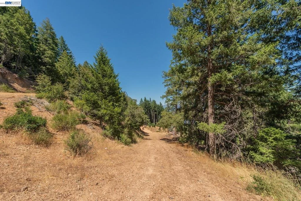 Photo of 190 Moore Gulch