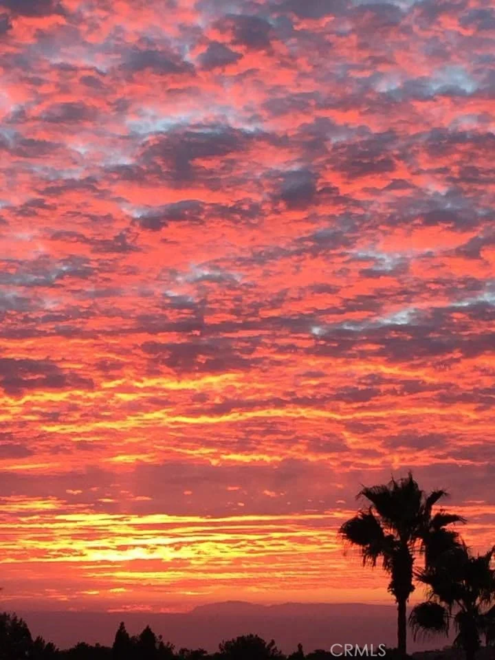 Photo of 12 Los Cabos