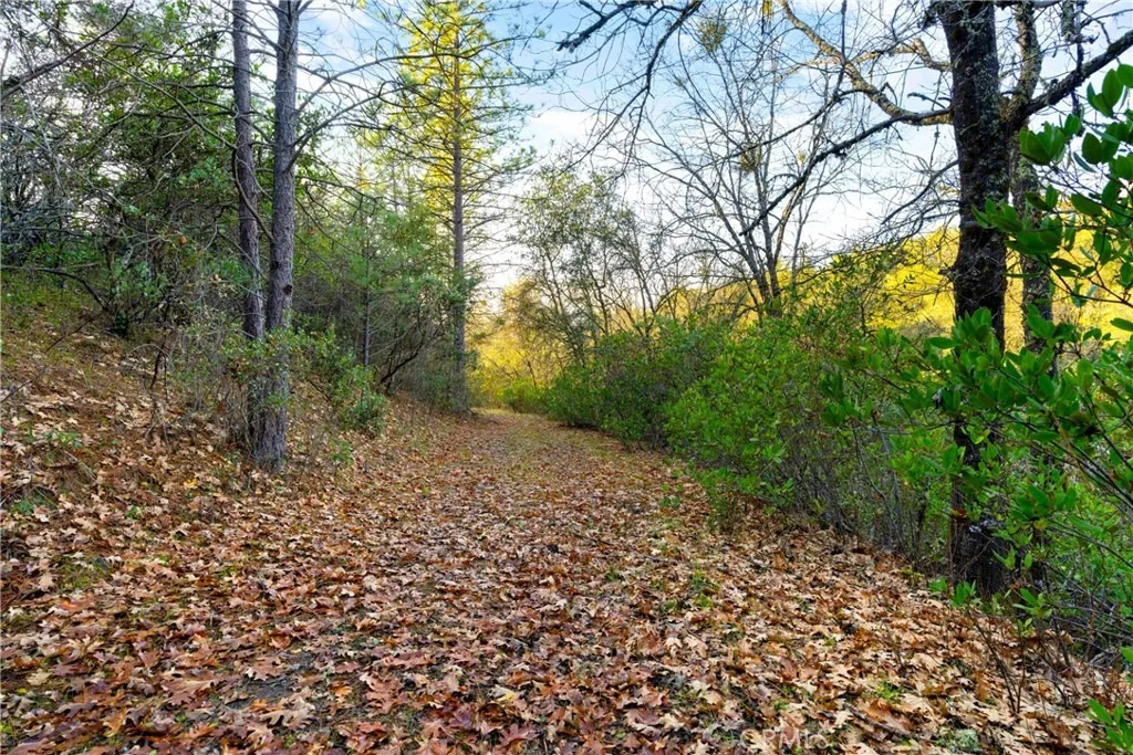 Photo of 1 Ridgeview Circle
