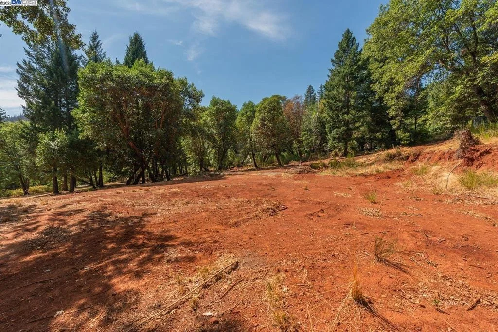 Photo of 171 Connor Creek Rd