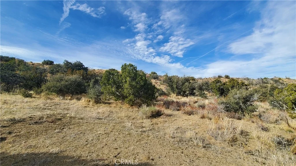 Photo of 0 Vicinity Ross Road E