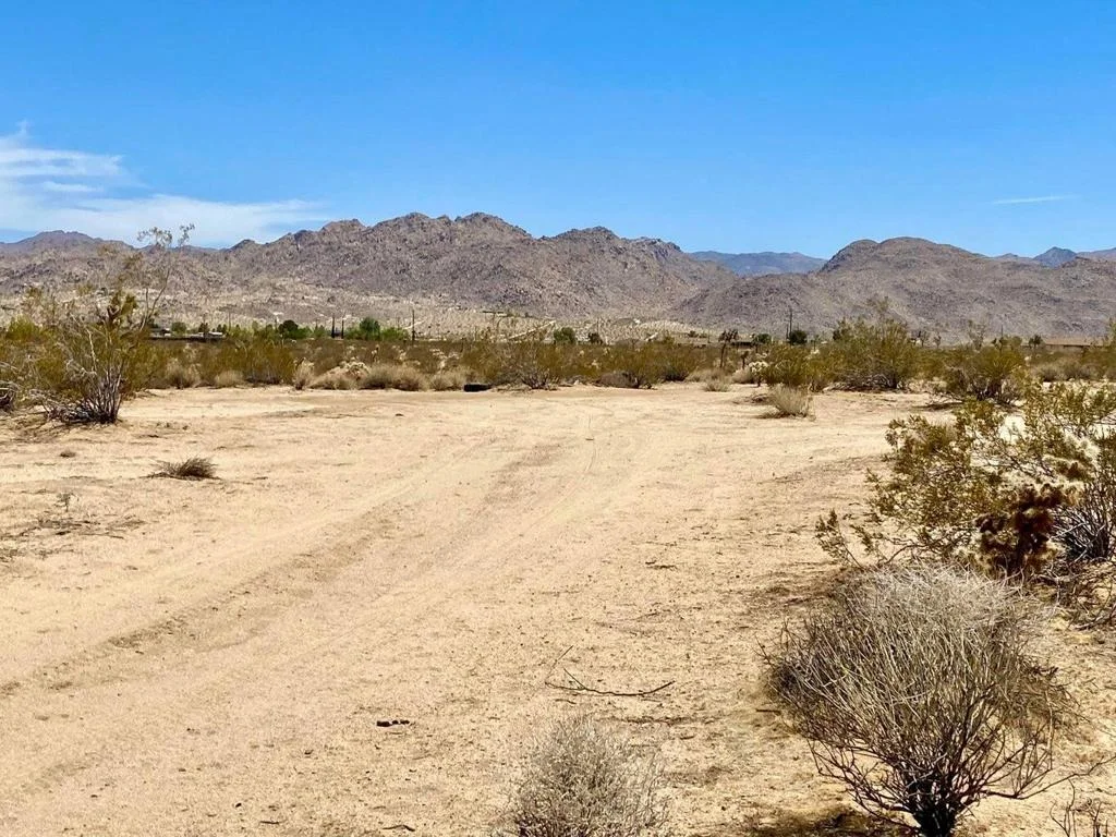 Photo of 117 Border Road