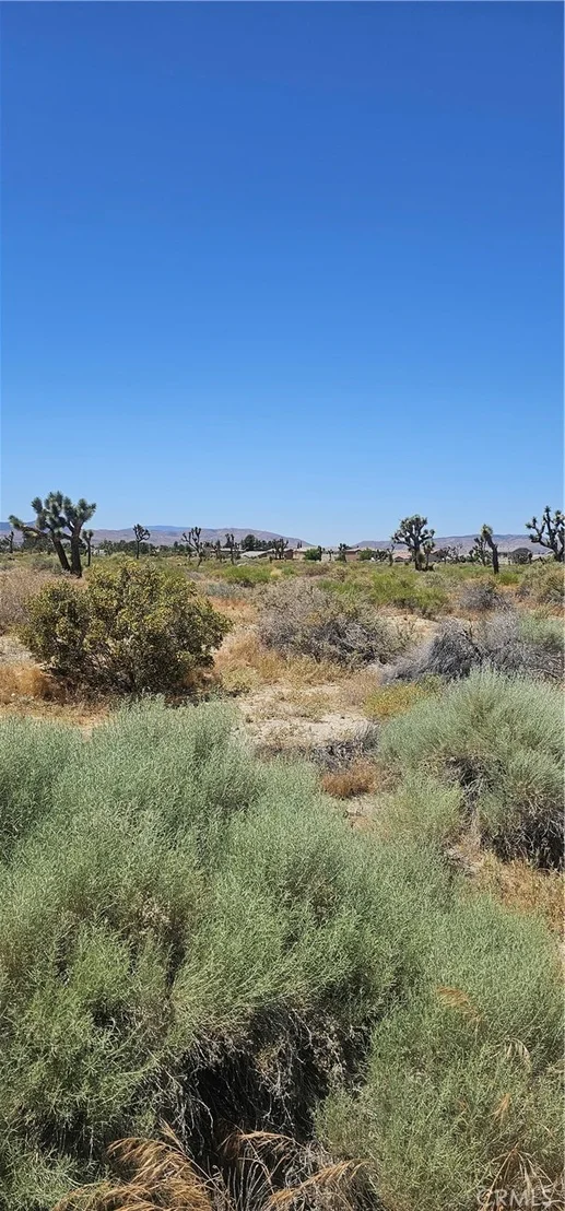 Photo of 0 E Palmdale Boulevard
