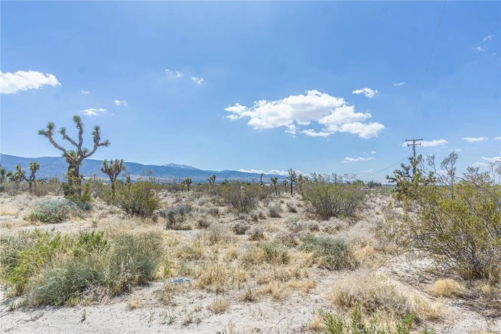 Photo of 1323 Bear Valley Road