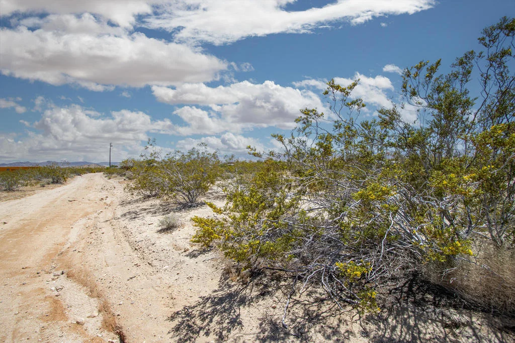 Photo of 3375 Sunset Road